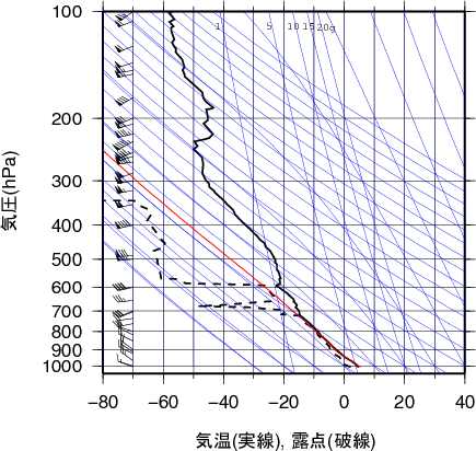 エマグラム画像