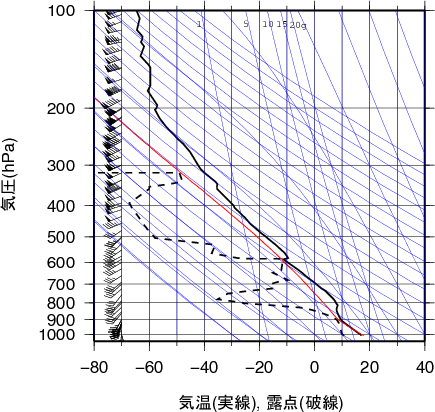 エマグラム画像
