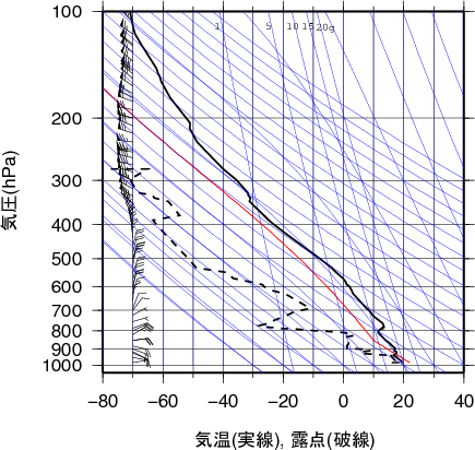 エマグラム画像