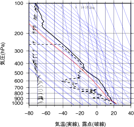 エマグラム画像