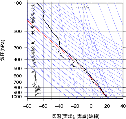 エマグラム画像
