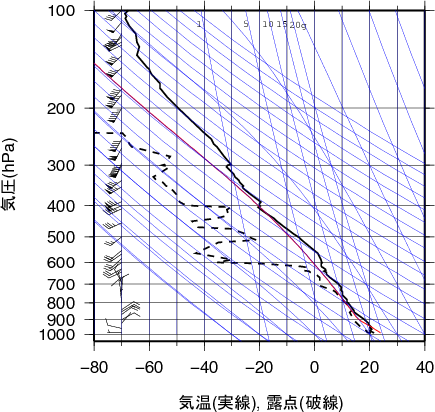 エマグラム画像