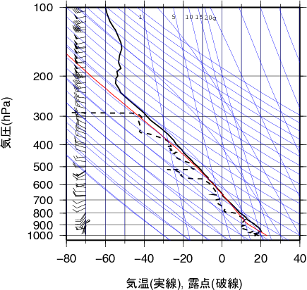 エマグラム画像