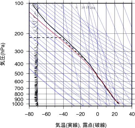 エマグラム画像