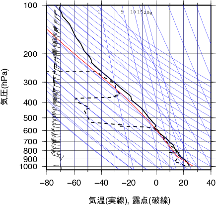 エマグラム画像