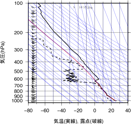 エマグラム画像