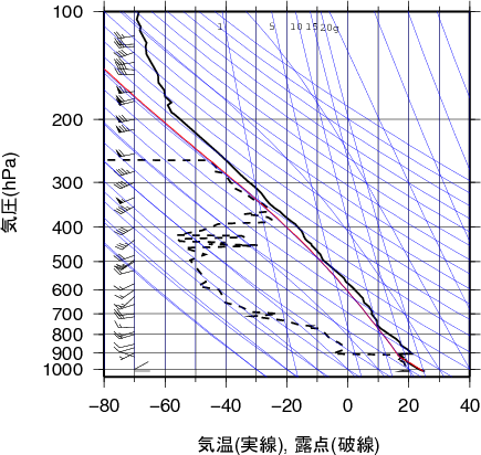 エマグラム画像