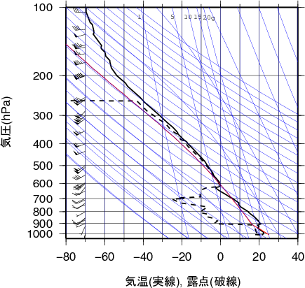 エマグラム画像