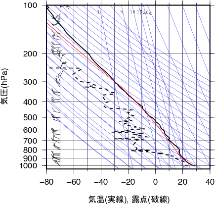 エマグラム画像
