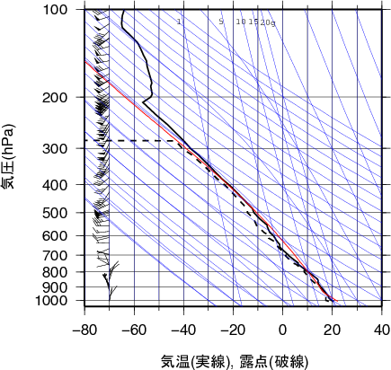エマグラム画像