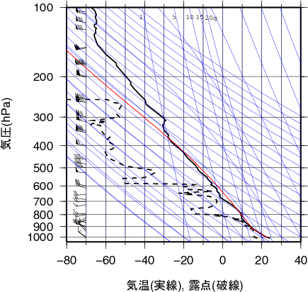 エマグラム画像