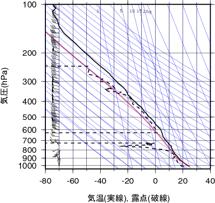 エマグラム画像