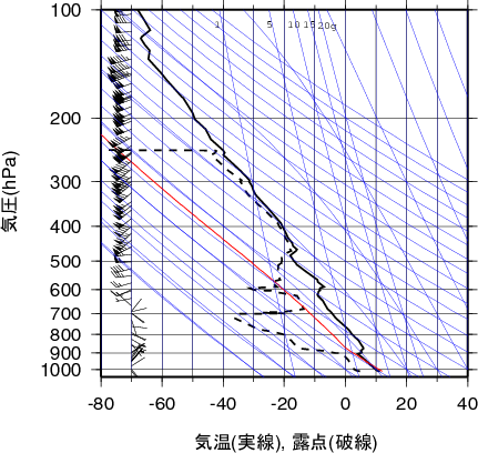 エマグラム画像