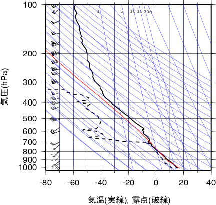 エマグラム画像