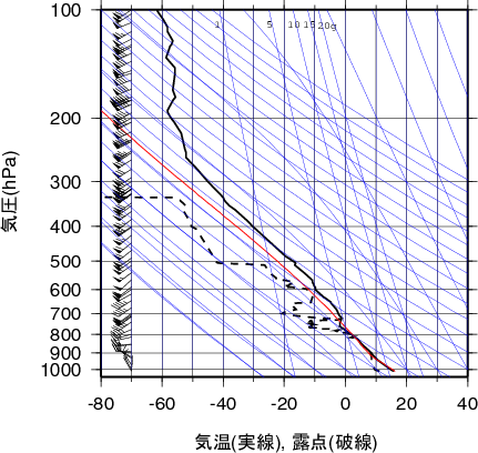 エマグラム画像