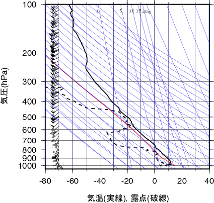 エマグラム画像