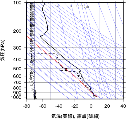 エマグラム画像