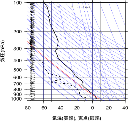 エマグラム画像