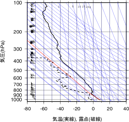 エマグラム画像