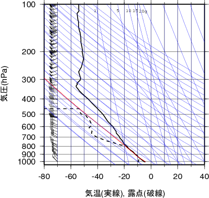 エマグラム画像