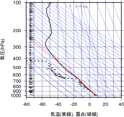 エマグラム画像