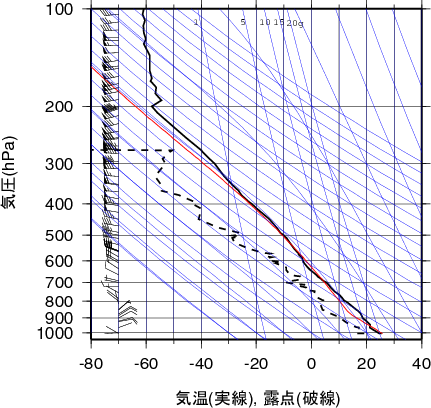 エマグラム画像
