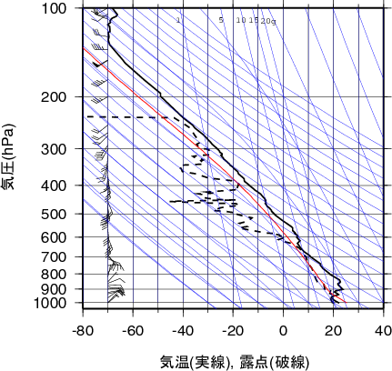 エマグラム画像