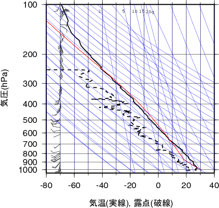 エマグラム画像