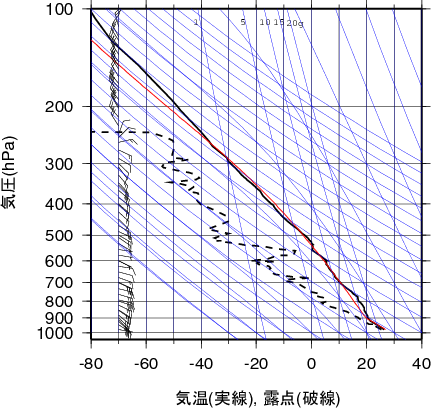 エマグラム画像