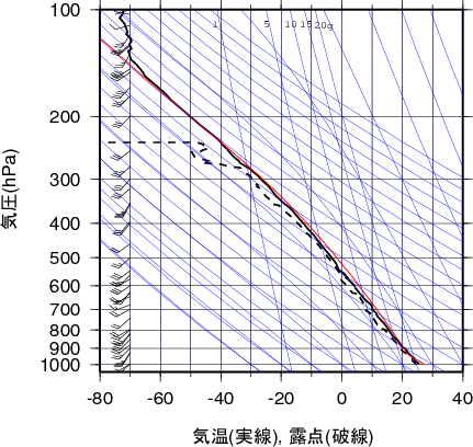 エマグラム画像