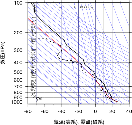 エマグラム画像