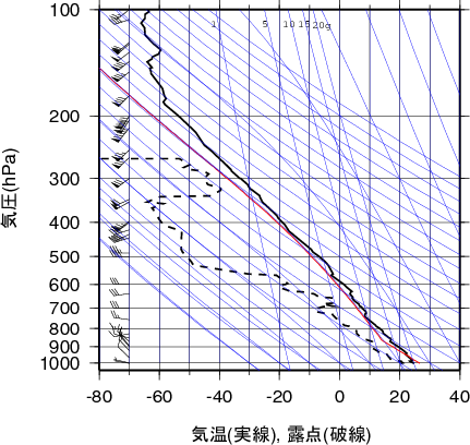 エマグラム画像