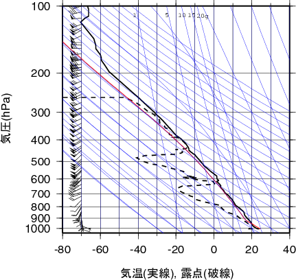 エマグラム画像