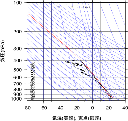 エマグラム画像