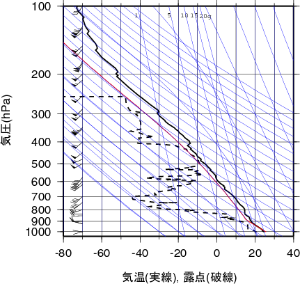 エマグラム画像