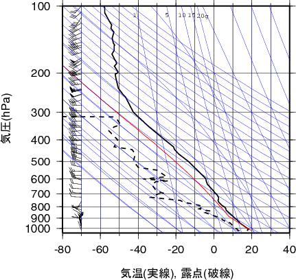 エマグラム画像