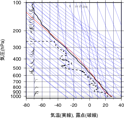 エマグラム画像