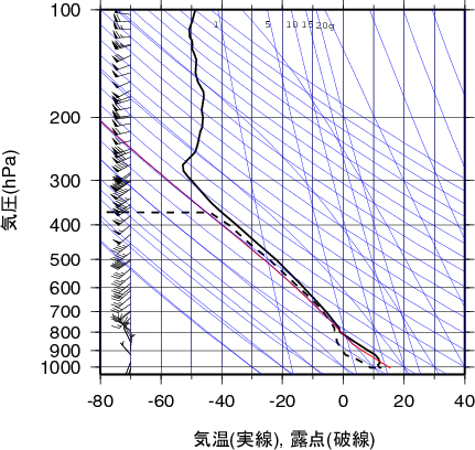 エマグラム画像
