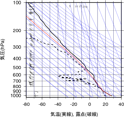エマグラム画像