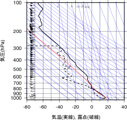 エマグラム画像