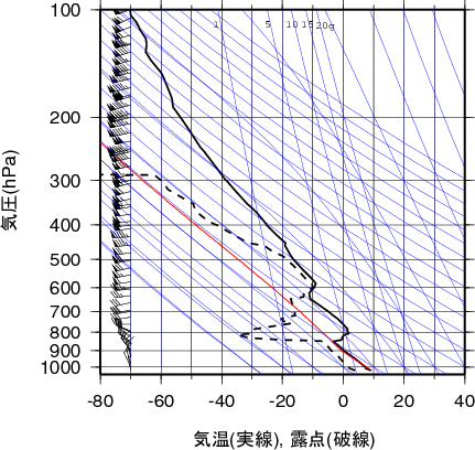 エマグラム画像