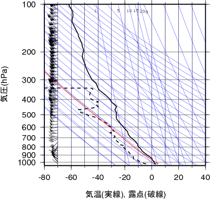 エマグラム画像