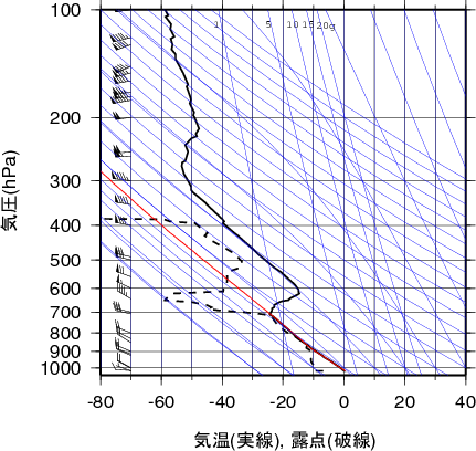 エマグラム画像