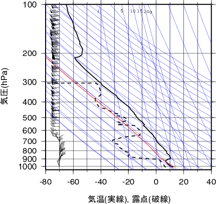 エマグラム画像