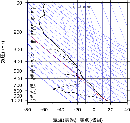 エマグラム画像