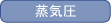 蒸気圧