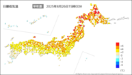 今日の最低気温平年差の分布図