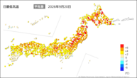 20日の最低気温平年差の分布図