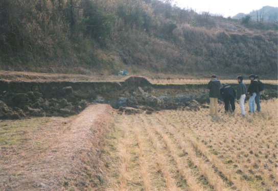 兵庫 県 南部 地震