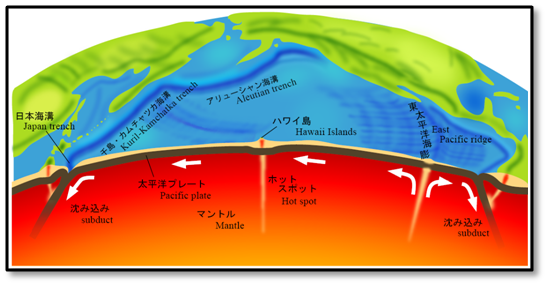 プレート運動の模式図